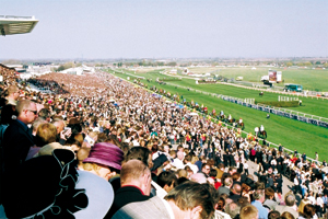 Aintree racecourse