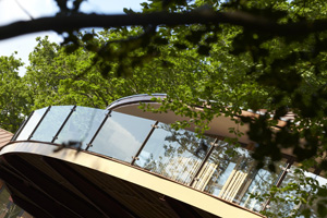 Chewton Glen's new Treehouse Suites