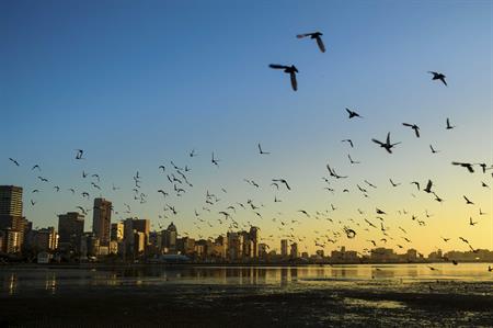 Credit: iStock
