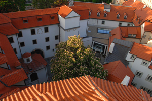 Axa Personal Lines Insurance picks Prague for team building