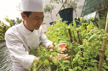Why sustainable food is so important
