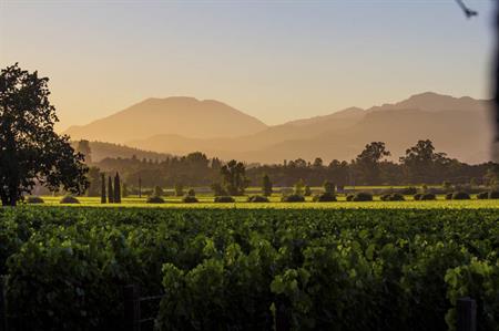 Starwood to open Napa Valley resort
