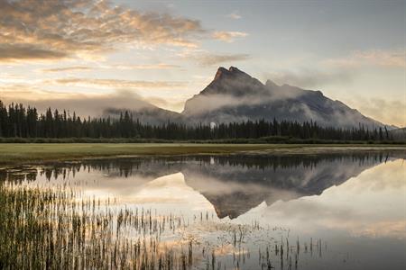 Incentive ideas for captivating Canada