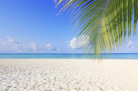 The Maldives is among the new destinations covered by Pacific World
