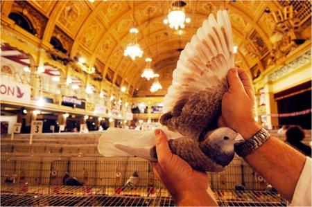 RPRA: returns to Blackpool for annual show