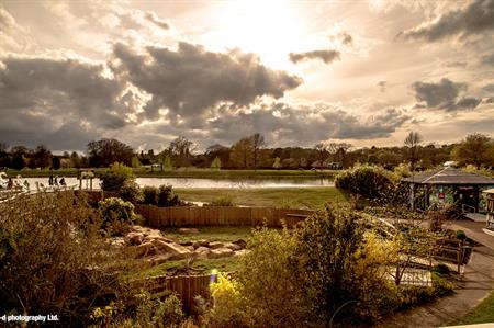 The Safari Lodge at Woburn Safari Park in Bedfordshire