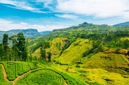 Sri Lanka @istockphoto.com