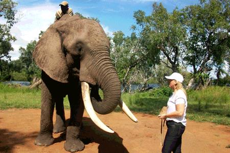 Case study: Jaguar's African adventure