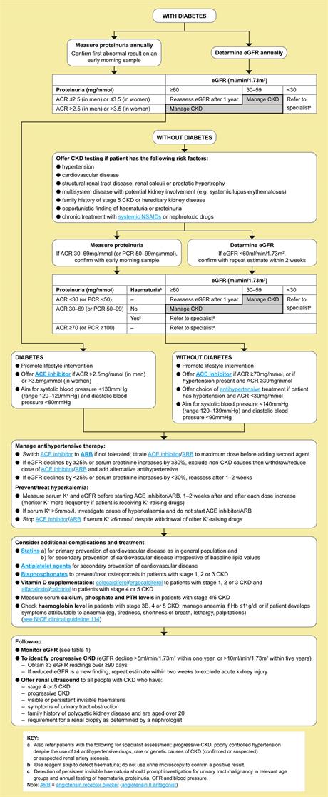 Early Identification and Management of Chronic Kidney Disease in Adults ...