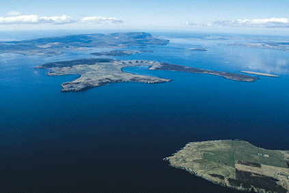 Future Electric makes its first wind acquisition in Orkney