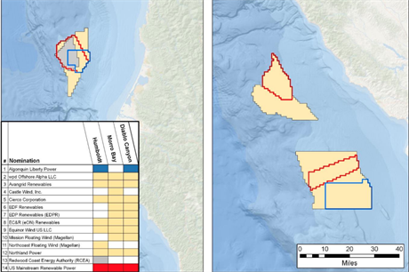 Fourteen companies or consortiums expressed an interest in developing floating wind projects off California (pic: BOEM)