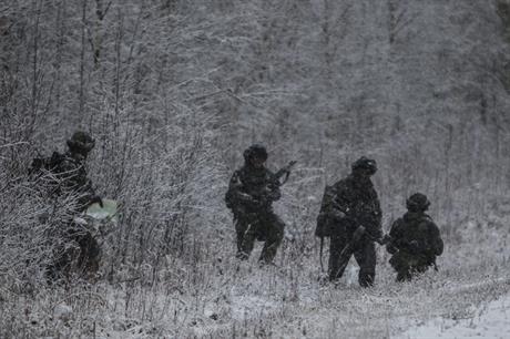 Vattenfall scraps project after Swedish military veto