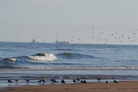 Aberdeen Bay... site of the Vattenfall wind farm
