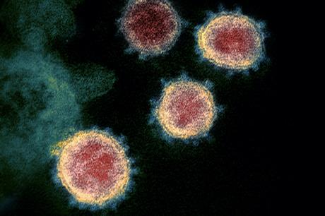 Production 'returning to normal' amid coronavirus outbreak