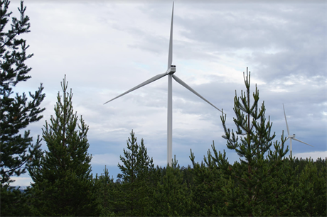 Wind investments down but record H1 renewables spending