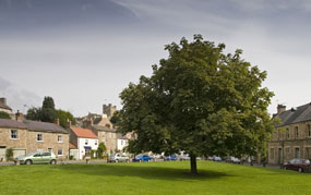 Village Greens: registration process under review