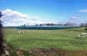 Benbole...Cornish solar energy farm