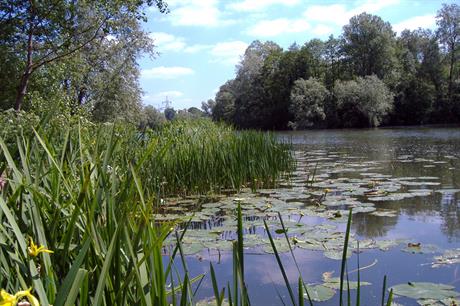 Broadland: final part of strategy can now be put into place