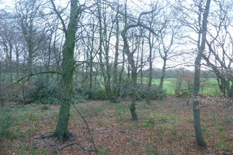Hulton Park Estate. Image: Geograph / Anthony Parkes