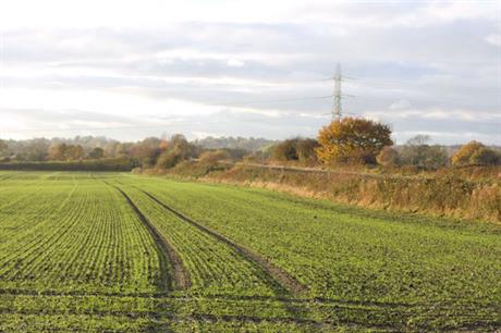 Land adjacent to the development site (pic: Mark Anderson via Geograph)