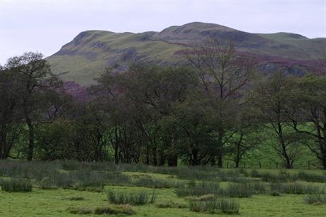 Llandegley Rocks (pic Andrew Hill via Geograph)