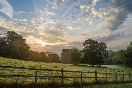 Membury, Devon. Pic: Getty Images