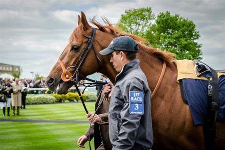 The Forest Heath core strategy was struck down over horse racing concerns. Image: Flickr / Florian Cristoph