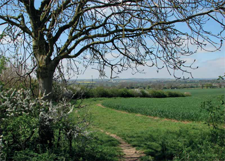 The Norwood Farm development site. Image: Barwood Homes