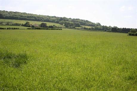 200-005-667 (Image Credit: North Somerset Council)