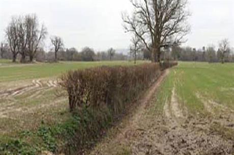 200-005-737 (Image Credit: Wiltshire Council)