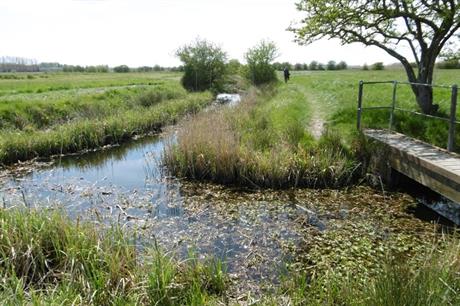 Stodmarsh National Nature Reserve - image: Marathon / geograph (CC BY-SA 2.0)