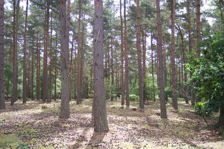 Whitehill & Bordon. Image: Flickr / East Hampshire District Council