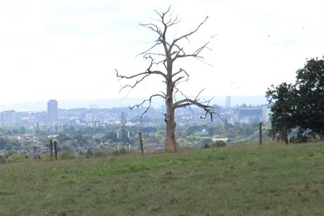 London green belt: warnings over soundness of key London Plan policy