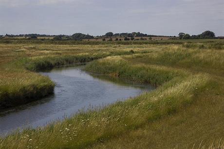 Hamford Water: 'no significant disturbance' from housing scheme