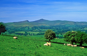 Rural areas: Lords' report calls for review of Housing Delivery Test impact