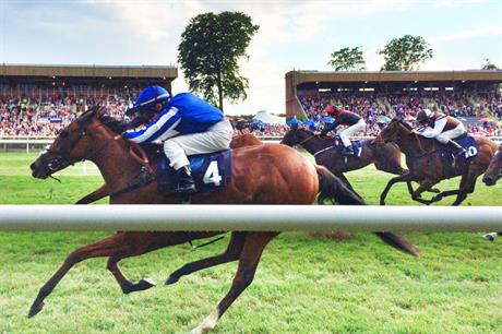 Newmarket: minister finds housing scheme would have no adverse impact on horseracing industry