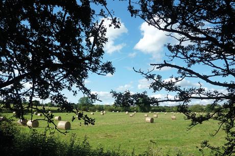Swanwick: the parish council chair says the village may conclude that it is “not worth” submitting another plan