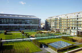 Winning formula: The communal residents' garden at Highbury Square, once the home of Arsenal Football Club. Tom Campbell photo