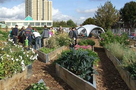Growing areas can help encourage a sense of wellbeing (PIC Sustain)