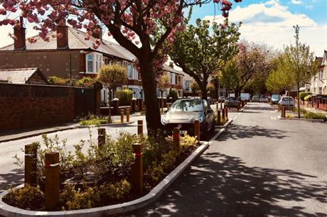 Rain gardens at Greener Grangetown, in Cardiff, retain water and slow the flow into drains and rivers (PIC Greener Grangetown)