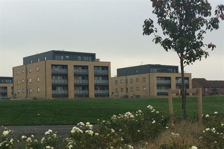 A village green is at the heart of the new higher density housing (PICS Simon Carne)