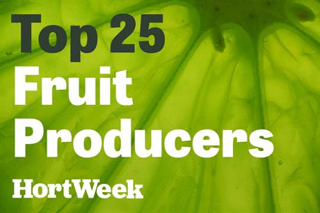 Top UK fruit producers continuing to grow, latest HortWeek ranking reveals