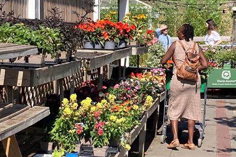 Garden retail EPOS sales 2022 compared to 2019 shows big core gardening and plants uplifts