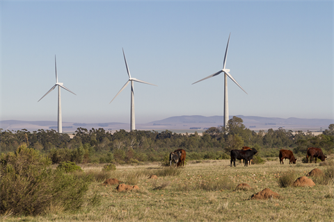 In total, 23 wind farms with a combined capacity of 4,116MW were put forward in South Africa's latest tender (pic credit: SAWEA)