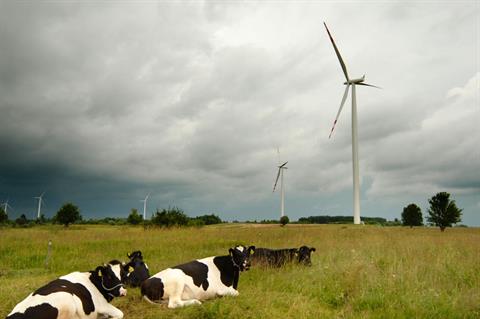 Key growth… Poland has been popular with investors, but a changing market framework could stop that (Pic:SCA)