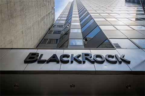 The BlackRock-led consortium will eventually own 9.76-11.43% of Tata Power Renewables (pic credit: Erik McGregor/Getty Images)