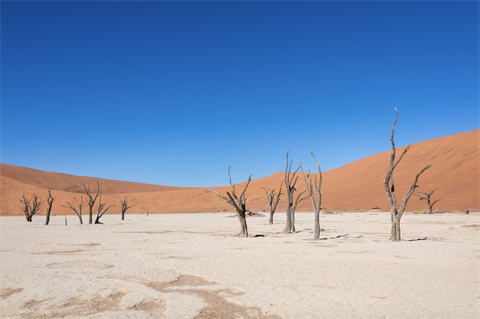 Germany seals Namibia green hydrogen partnership