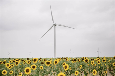 EDP sets sights on 10GW wind growth by 2025