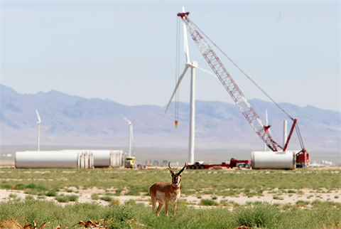 The proposed reforms would speed up permitting for wind projects (pic credit: George Frey/Getty Images)