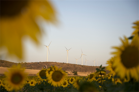 Iberdrola brings electrolyser gigafactory to Spain
